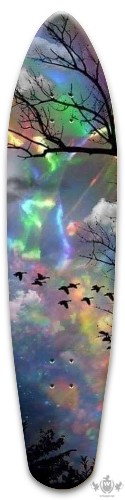 Design 640437 Skateboards, Longboards and Grip Tape Image
