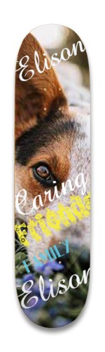 Design 641455 Skateboards, Longboards and Grip Tape Image