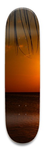 Design 641522 Skateboards, Longboards and Grip Tape