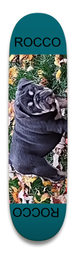 Design 641560 Skateboards, Longboards and Grip Tape Image