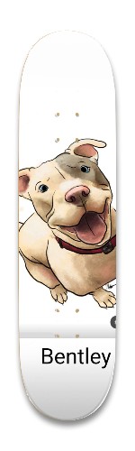 Design 642773 Skateboards, Longboards and Grip Tape Image