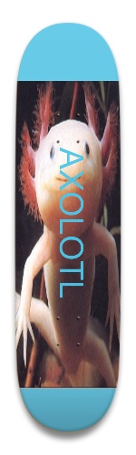 Design 645054 Skateboards, Longboards and Grip Tape Image