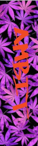 Design 645427 Skateboards, Longboards and Grip Tape Image