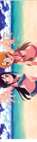 Design 647990 Skateboards, Longboards and Grip Tape Image