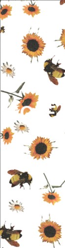 Design 648391 Skateboards, Longboards and Grip Tape Image