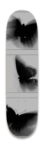 Design 649313 Skateboards, Longboards and Grip Tape Image