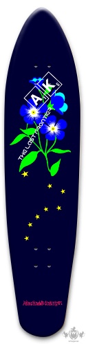 Design 650697 Skateboards, Longboards and Grip Tape