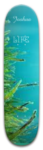 Design 650956 Skateboards, Longboards and Grip Tape