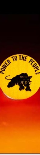 Design 651222 Skateboards, Longboards and Grip Tape Image