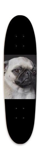 Design 651865 Skateboards, Longboards and Grip Tape