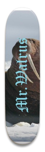 Design 652018 Skateboards, Longboards and Grip Tape Image