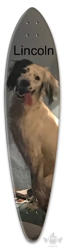 Design 653799 Skateboards, Longboards and Grip Tape Image