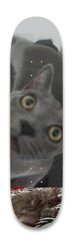 Design 654378 Skateboards, Longboards and Grip Tape Image