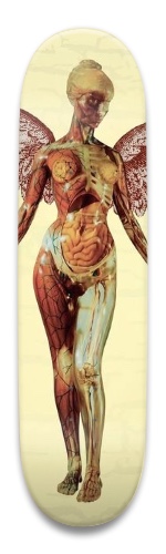 Design 654947 Skateboards, Longboards and Grip Tape