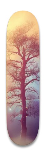 Design 655514 Skateboards, Longboards and Grip Tape Image