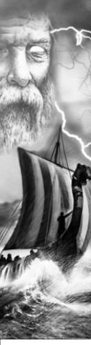 Design 655549 Skateboards, Longboards and Grip Tape Image