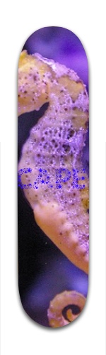 PAMELA Skateboards, Longboards and Grip Tape Image