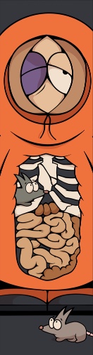 Design 661790 Skateboards, Longboards and Grip Tape Image