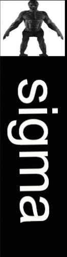 Design 665443 Skateboards, Longboards and Grip Tape Image