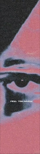Design 665497 Skateboards, Longboards and Grip Tape Image