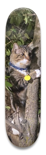 Design 667322 Skateboards, Longboards and Grip Tape Image