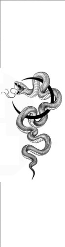 Design 667447 Skateboards, Longboards and Grip Tape Image