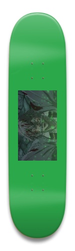 Design 667876 Skateboards, Longboards and Grip Tape Image