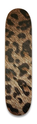 Design 669976 Skateboards, Longboards and Grip Tape Image