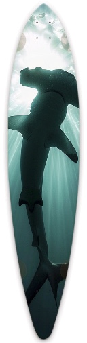 Design 670100 Skateboards, Longboards and Grip Tape Image