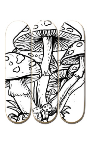 Design 671543 Skateboards, Longboards and Grip Tape Image