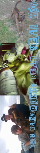 Design 672577 Skateboards, Longboards and Grip Tape Image