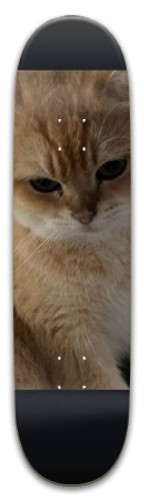 Design 675149 Skateboards, Longboards and Grip Tape Image