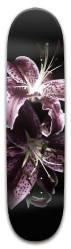 Design 677660 Skateboards, Longboards and Grip Tape Image