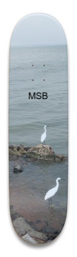 Design 678602 Skateboards, Longboards and Grip Tape Image