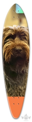 Design 679367 Skateboards, Longboards and Grip Tape Image