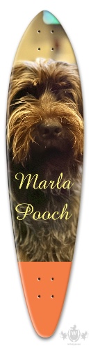 Design 679378 Skateboards, Longboards and Grip Tape Image
