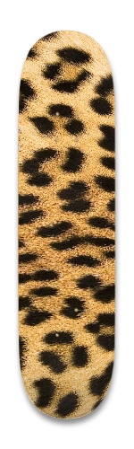 Design 679952 Skateboards, Longboards and Grip Tape Image