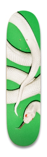 Design 681795 Skateboards, Longboards and Grip Tape Image
