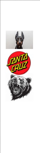 Design 682238 Skateboards, Longboards and Grip Tape Image