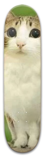 Design 682636 Skateboards, Longboards and Grip Tape Image