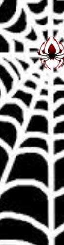 Design 683021 Skateboards, Longboards and Grip Tape Image