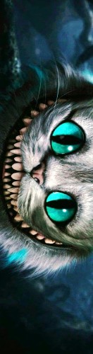 Design 683714 Skateboards, Longboards and Grip Tape Image