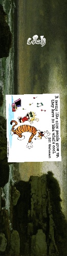 Design 684447 Skateboards, Longboards and Grip Tape Image