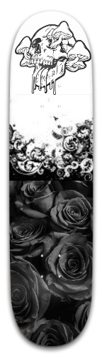 Design 685200 Skateboards, Longboards and Grip Tape Image