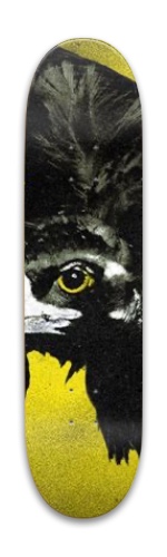 Design 685616 Skateboards, Longboards and Grip Tape Image