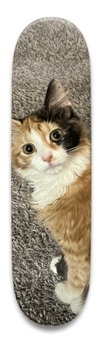 Design 686437 Skateboards, Longboards and Grip Tape Image