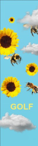 Design 687391 Skateboards, Longboards and Grip Tape Image