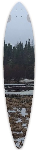 Design 690402 Skateboards, Longboards and Grip Tape Image