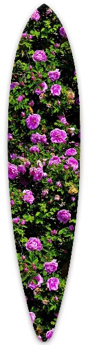 Design 690404 Skateboards, Longboards and Grip Tape Image