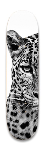 Design 690878 Skateboards, Longboards and Grip Tape Image